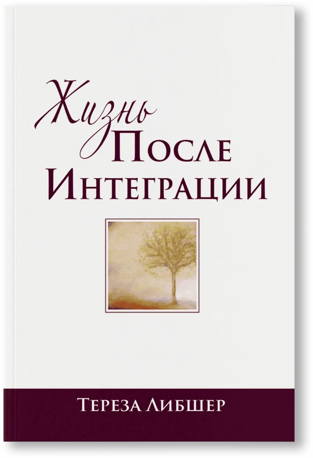 Жизнь после интеграции