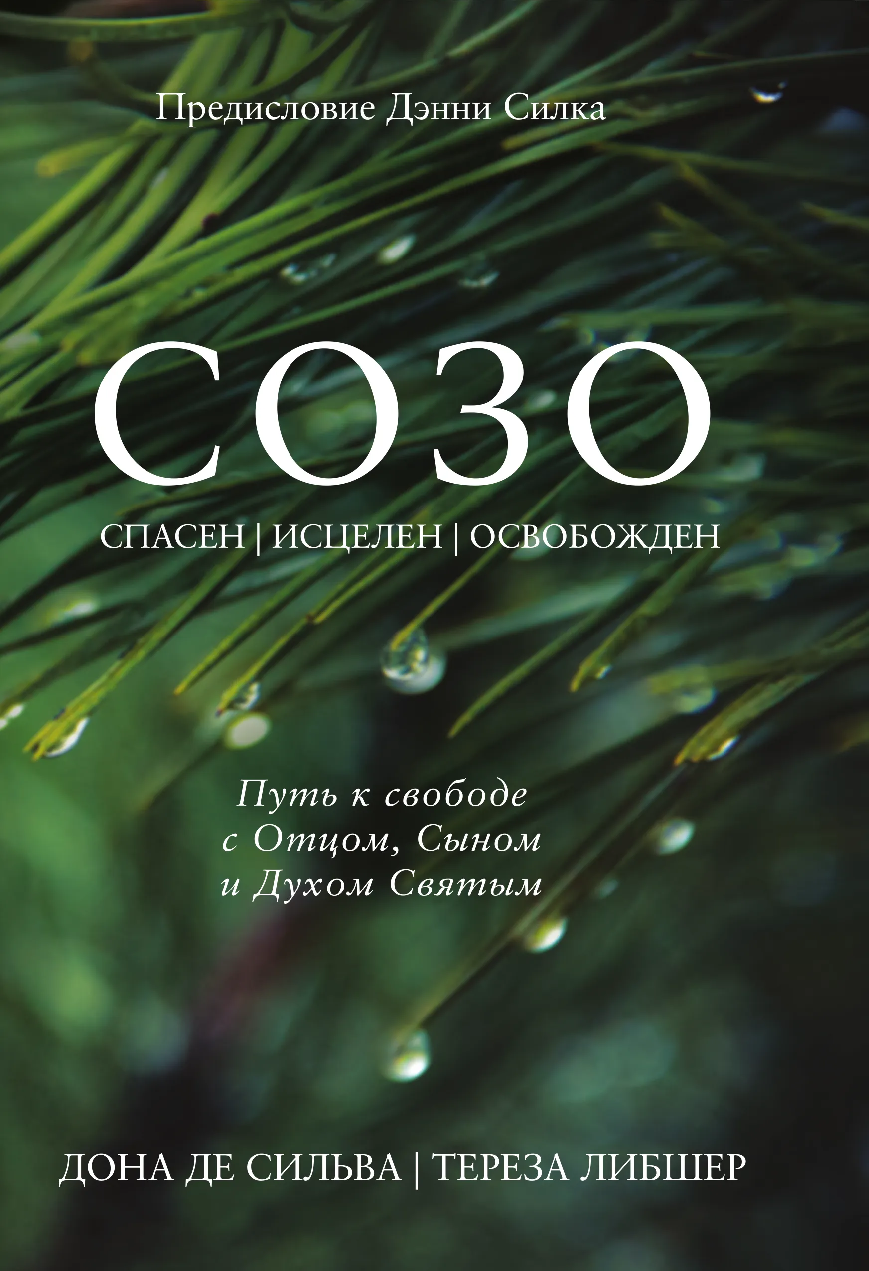 Дона Де Сильва - SOZO - Saved, Healed, Delivered